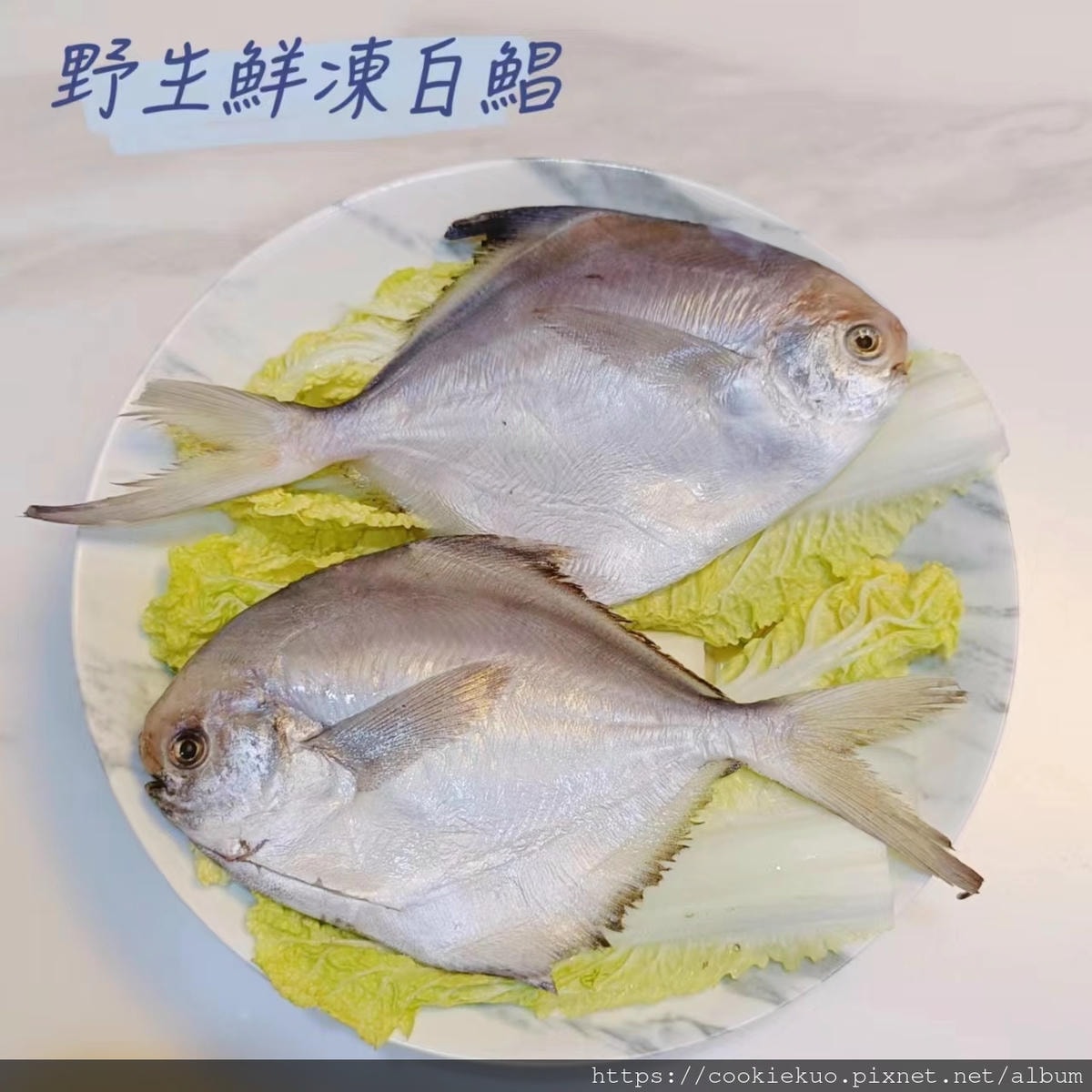 20251027-u4hi9 20251027-u4hi9